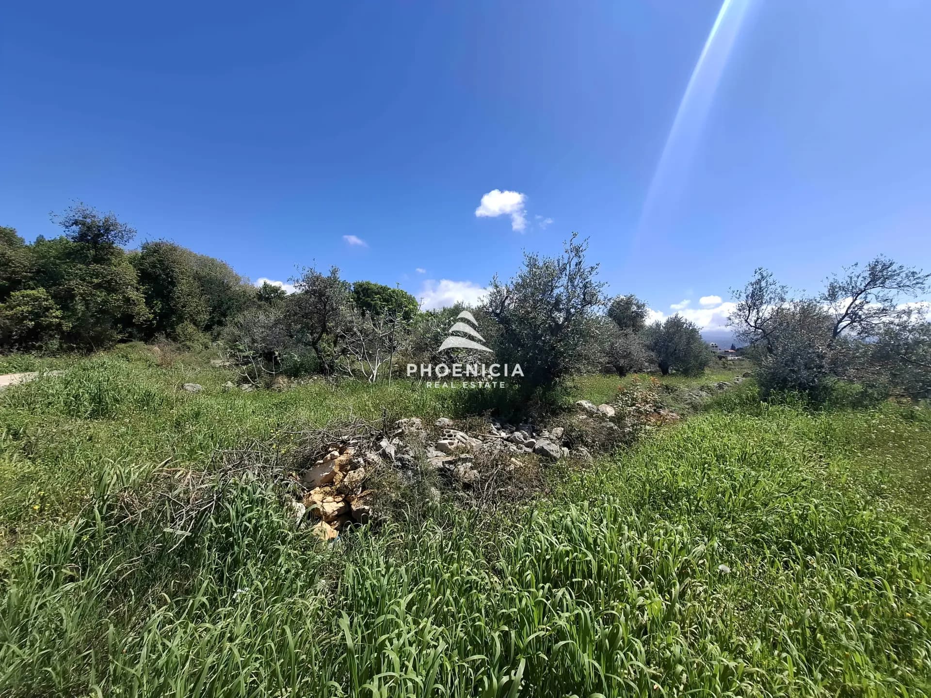 Land for Sale in Monsef — photo 4