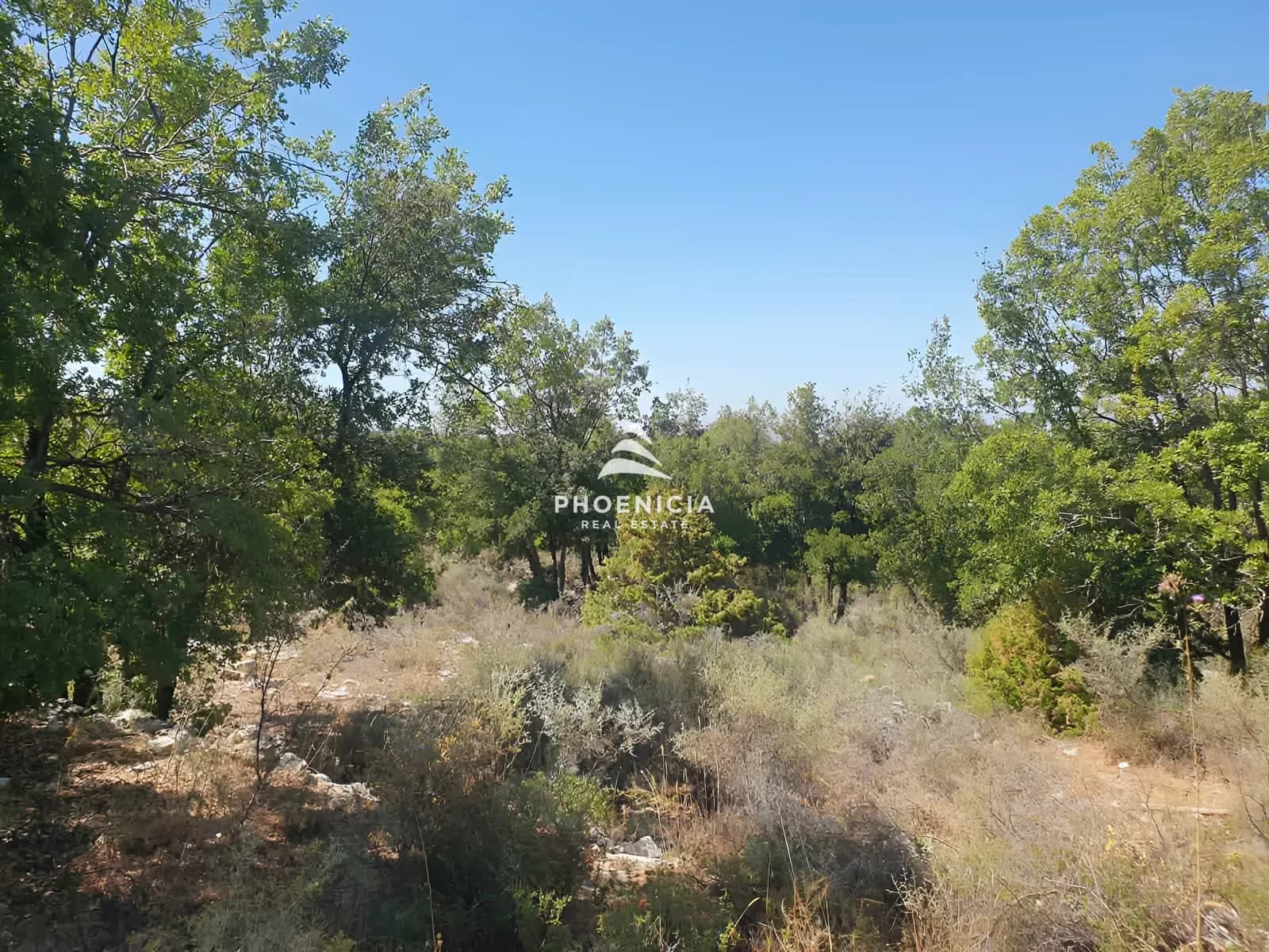 Land for Sale in Mechmech — photo 1