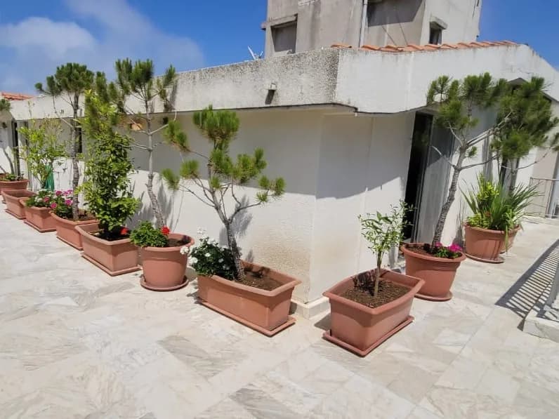 Apartment for Sale in Ajaltoun — photo 4