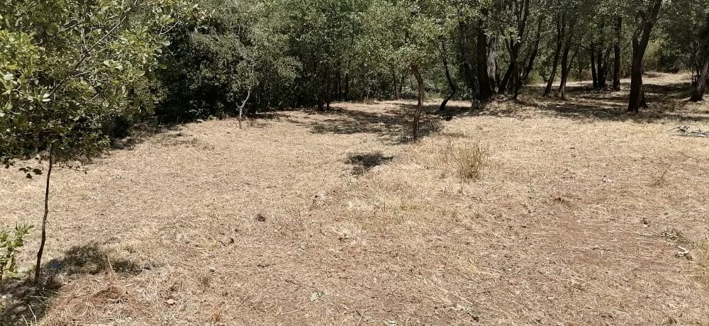 Land for Sale in Bzebdine, Lebanon — photo 10