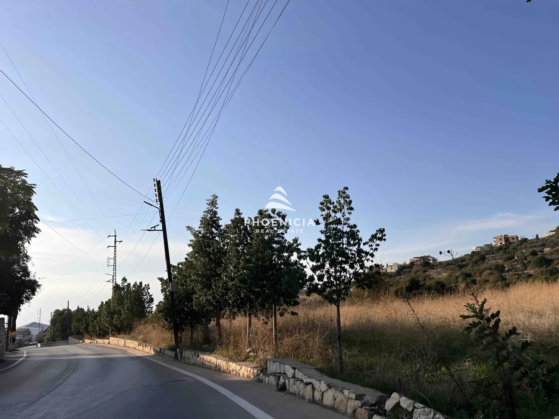 Land for Sale in Hosrayel — photo 4