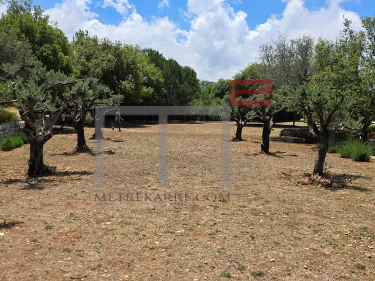 Villa for Sale in North — photo 3